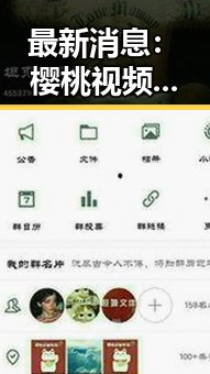 最新消息：樱桃视频官方版下载带你轻松掌握娱乐新动态