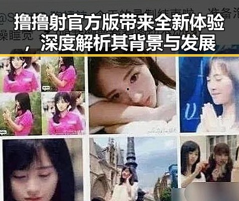 撸撸射官方版带来全新体验，深度解析其背景与发展