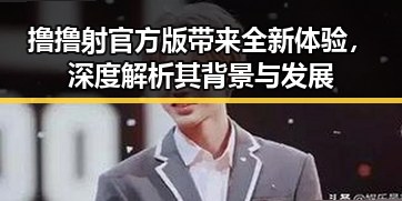 撸撸射官方版带来全新体验，深度解析其背景与发展