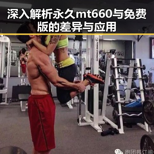 深入解析永久mt660与免费版的差异与应用