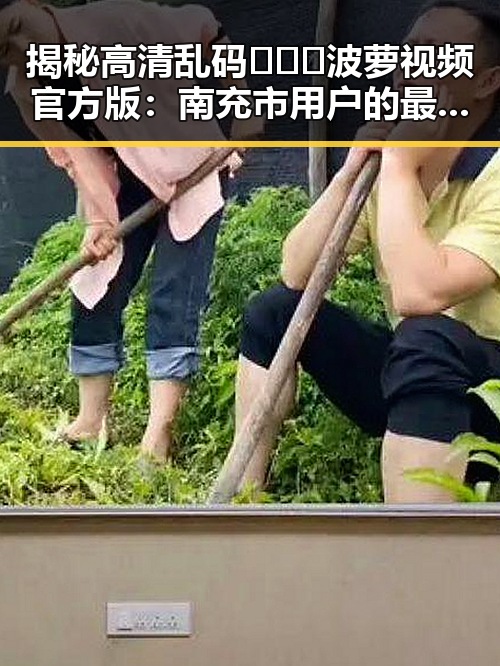 揭秘高清乱码🔞❌♋波萝视频官方版：南充市用户的最新体验