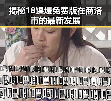 揭秘18馃埐免费版在商洛市的最新发展