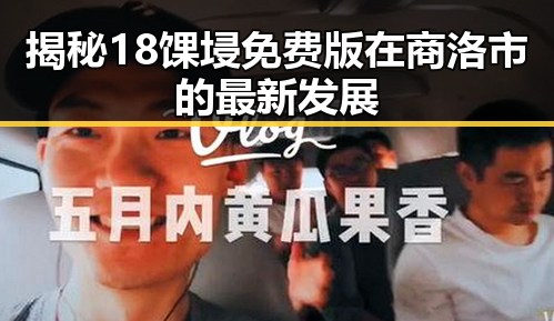 揭秘18馃埐免费版在商洛市的最新发展