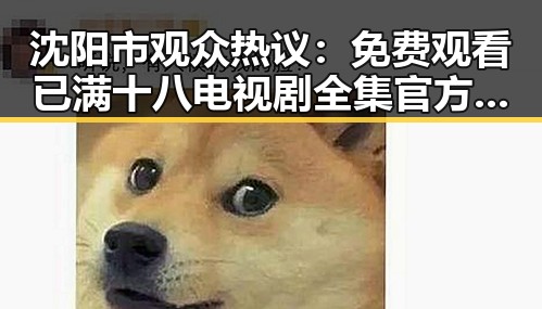 沈阳市观众热议: 免费观看已满十八电视剧全集官方版下载方案揭秘