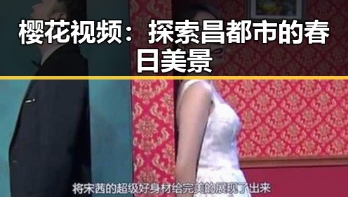 樱花视频:探索昌都市的春日美景