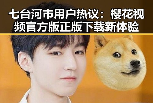 七台河市用户热议：樱花视频官方版正版下载新体验