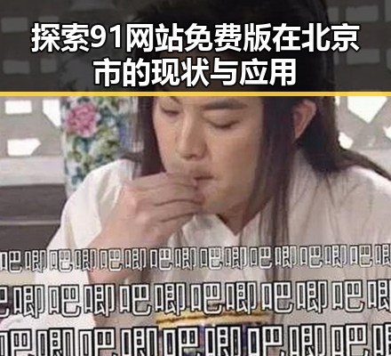 探索91网站免费版在北京市的现状与应用