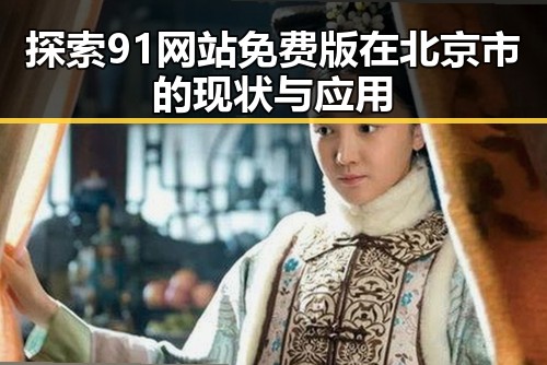 探索91网站免费版在北京市的现状与应用