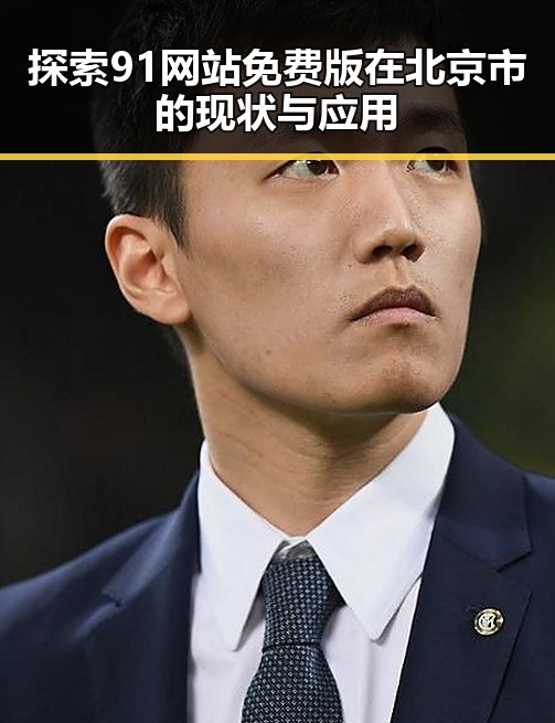 探索91网站免费版在北京市的现状与应用
