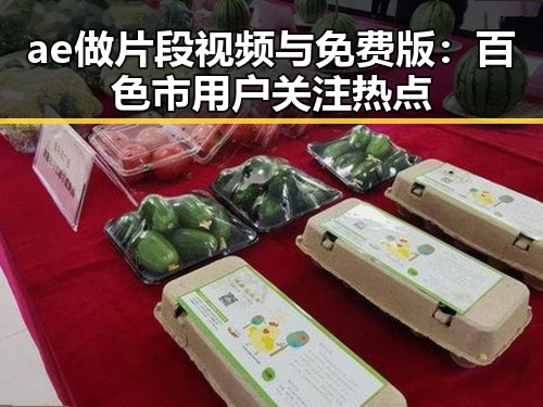 ae做片段视频与免费版:百色市用户关注热点