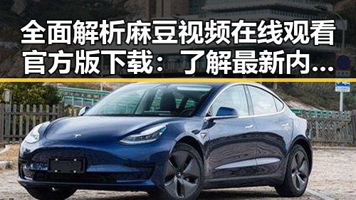 全面解析麻豆视频在线观看官方版下载：了解最新内容与操作指南