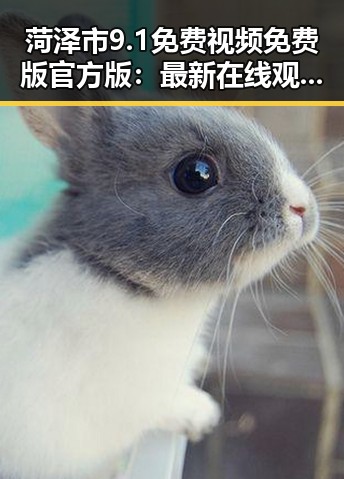 菏泽市9.1免费视频免费版官方版:最新在线观看体验全解析