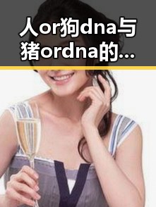 人or狗dna与猪ordna的配合与防治官方版:深入分析与现状