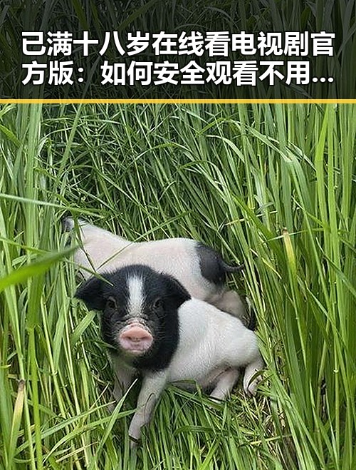 已满十八岁在线看电视剧官方版：如何安全观看不用担忧