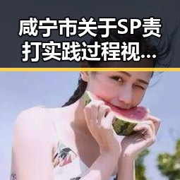 咸宁市关于SP责打实践过程视频的详细解析
