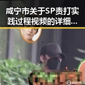 咸宁市关于SP责打实践过程视频的详细解析