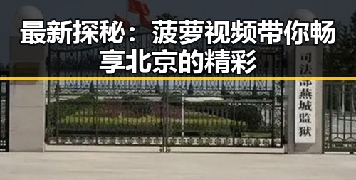 最新探秘：菠萝视频带你畅享北京的精彩