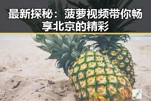 最新探秘:菠萝视频带你畅享北京的精彩