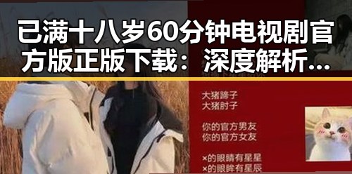 已满十八岁60分钟电视剧官方版正版下载：深度解析与下载指南