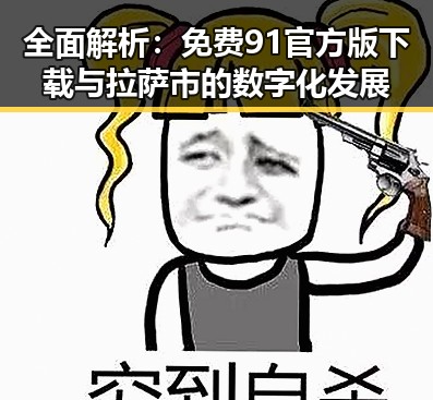 全面解析：免费91官方版下载与拉萨市的数字化发展