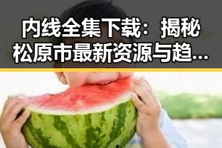 内线全集下载：揭秘松原市最新资源与趋势