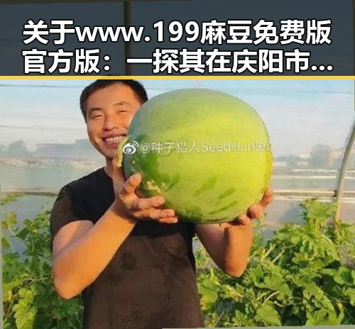 关于www.199麻豆免费版官方版:一探其在庆阳市的应用和影响