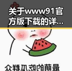 关于www91官方版下载的详细介绍与指南