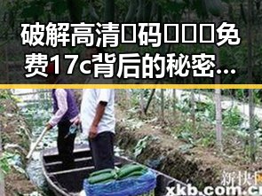 破解高清🈚码🔞❌♋免费17c背后的秘密：绥化市用视频蒙版打造新体验