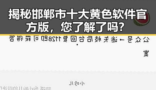 揭秘邯郸市十大黄色软件官方版,您了解了吗?