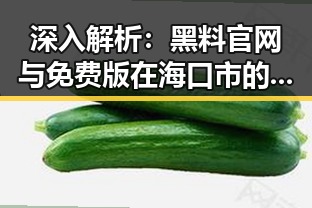 深入解析:黑料 官网与免费版在海口市的现状与影响