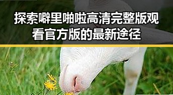 探索噼里啪啦高清完整版观看官方版的最新途径