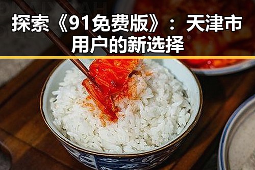 探索《91免费版》:天津市用户的新选择