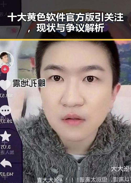 十大黄色软件官方版引关注，现状与争议解析