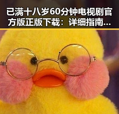 已满十八岁60分钟电视剧官方版正版下载:详细指南与资源推荐