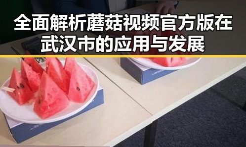 全面解析蘑菇视频官方版在武汉市的应用与发展