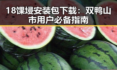 18馃埐安装包下载:双鸭山市用户必备指南