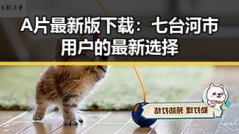 A片最新版下载：七台河市用户的最新选择