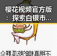 樱花视频官方版：探索白银市的精彩内容