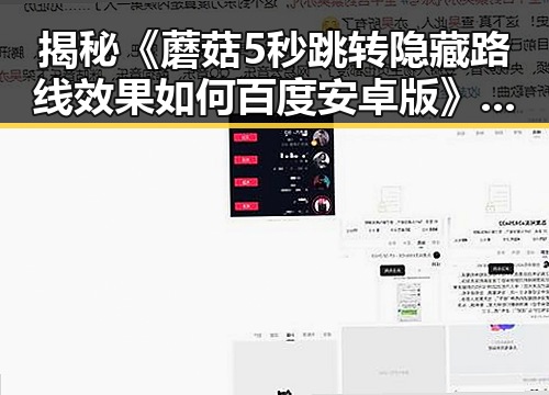 揭秘《蘑菇5秒跳转隐藏路线效果如何百度安卓版》的实用技巧