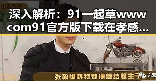 深入解析:91 一起草wwwcom91官方版下载在孝感市的推广现状