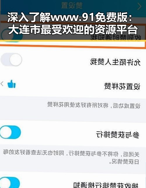 深入了解www.91免费版：大连市最受欢迎的资源平台