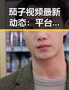 茄子视频最新动态：平台现状与未来发展