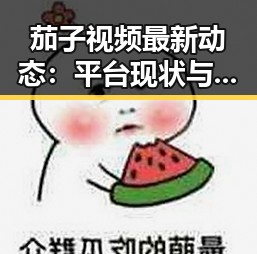 茄子视频最新动态：平台现状与未来发展