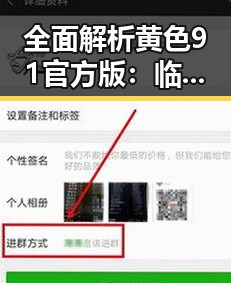 全面解析黄色91官方版：临沂市用户的最佳选择