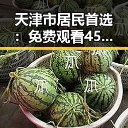 天津市居民首选： 免费观看45分钟高清电视的软件官方版下载指南