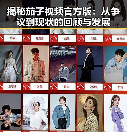 揭秘茄子视频官方版：从争议到现状的回顾与发展