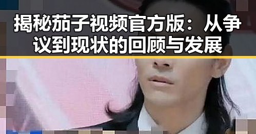 揭秘茄子视频官方版:从争议到现状的回顾与发展