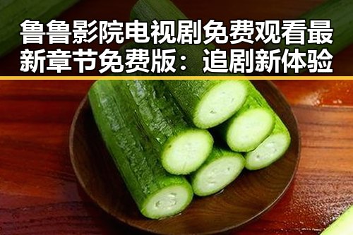 鲁鲁影院电视剧免费观看最新章节免费版：追剧新体验