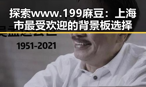 探索 www.199麻豆：上海市最受欢迎的背景板选择