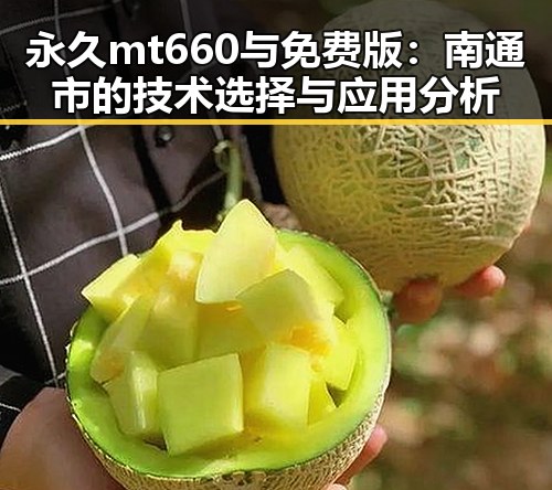 永久mt660与免费版:南通市的技术选择与应用分析